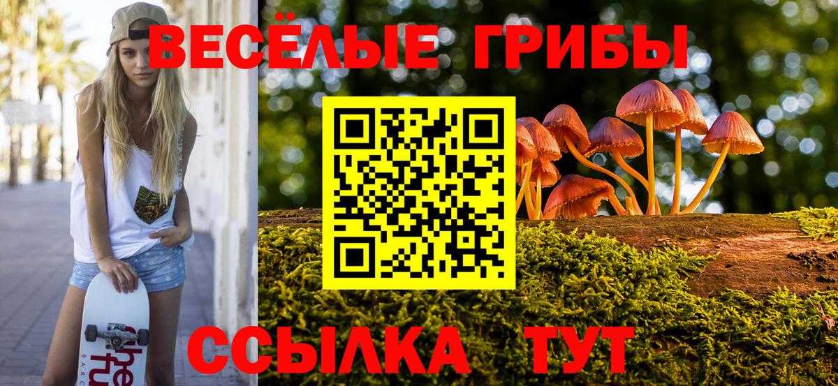 Псилоцибиновые грибы прущие грибы  Галлюциногенные грибы ЛСД  Вход с VPN  наркота  Богданович 