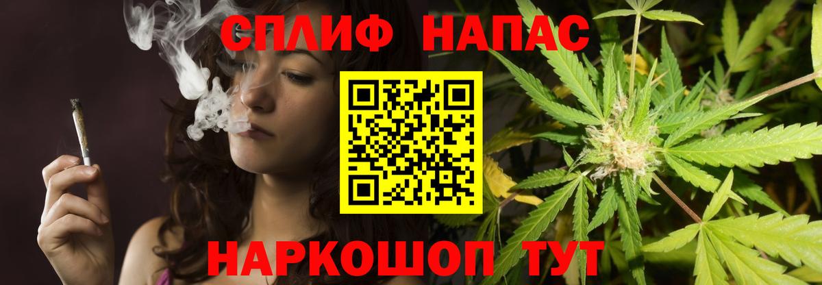 МАРИХУАНА планчик Богданович